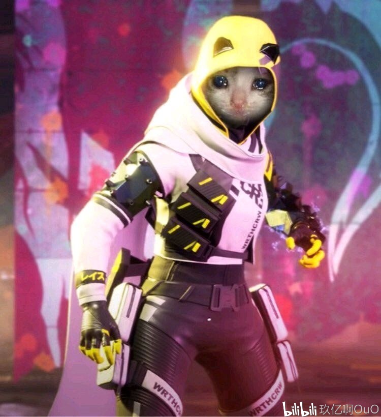 定义北极星 定义北极星